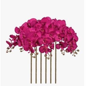 Fuchsia Phalaenopsis Orchid Stem Bundle - Home Accents